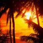 Sunset - 42
