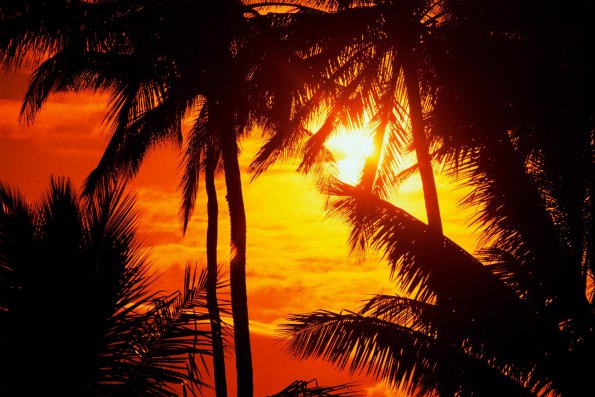 Sunset - 42