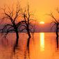 Sunset - 49