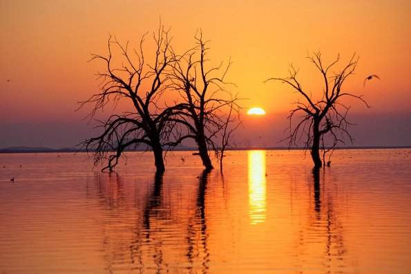 Sunset - 49