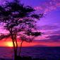 Sunset - 57