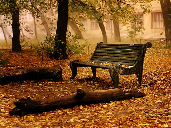 Autumn_bench