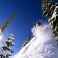 Dropping Into Powder, Bridger Bowl, Montana