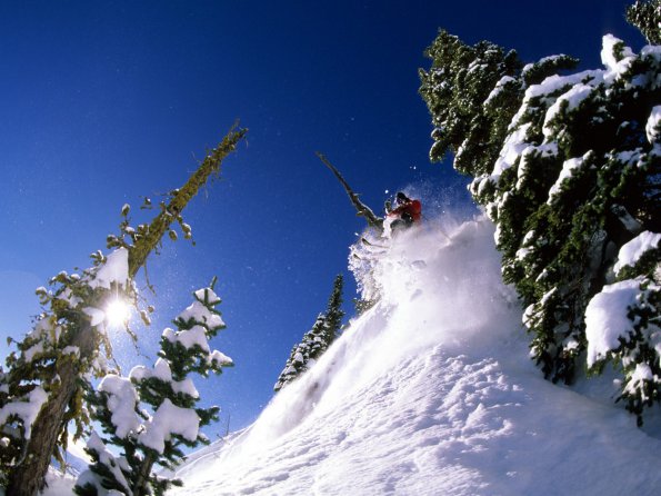 Dropping Into Powder, Bridger Bowl, Montana