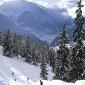 Skiing in the Swiss Alps