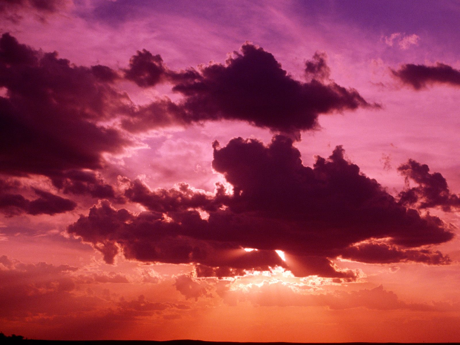 Splendid Light