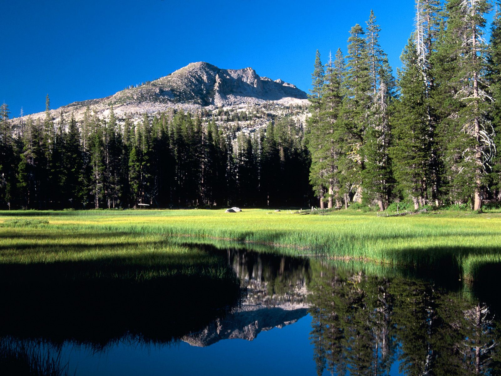 South Fork of Silver Creek, El Dorado National Forest, Sierra Nevada, California