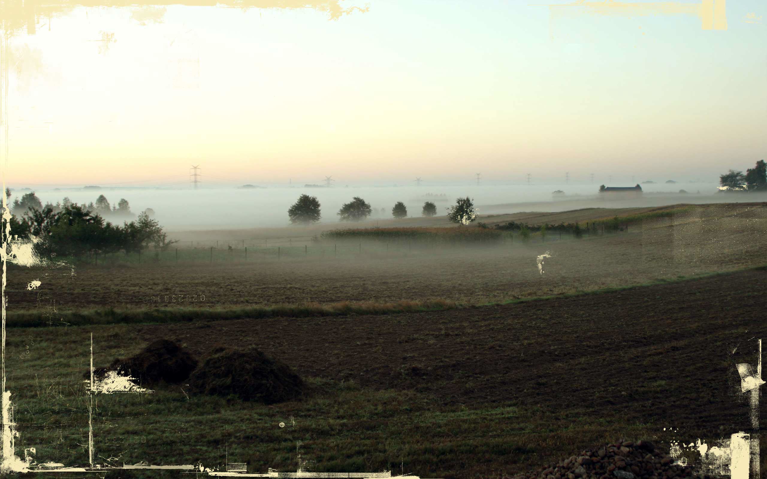 polish_morning