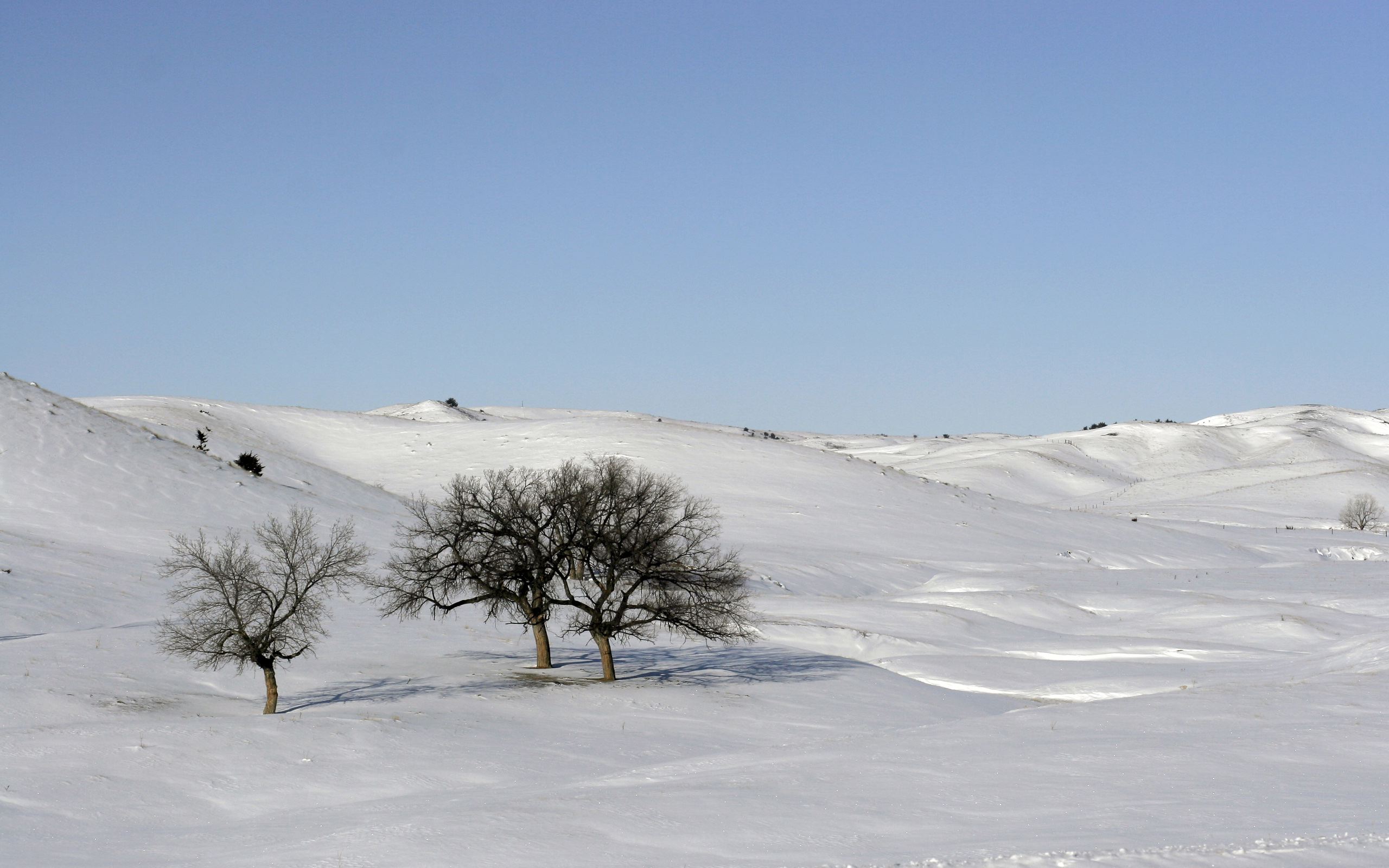 snowscape