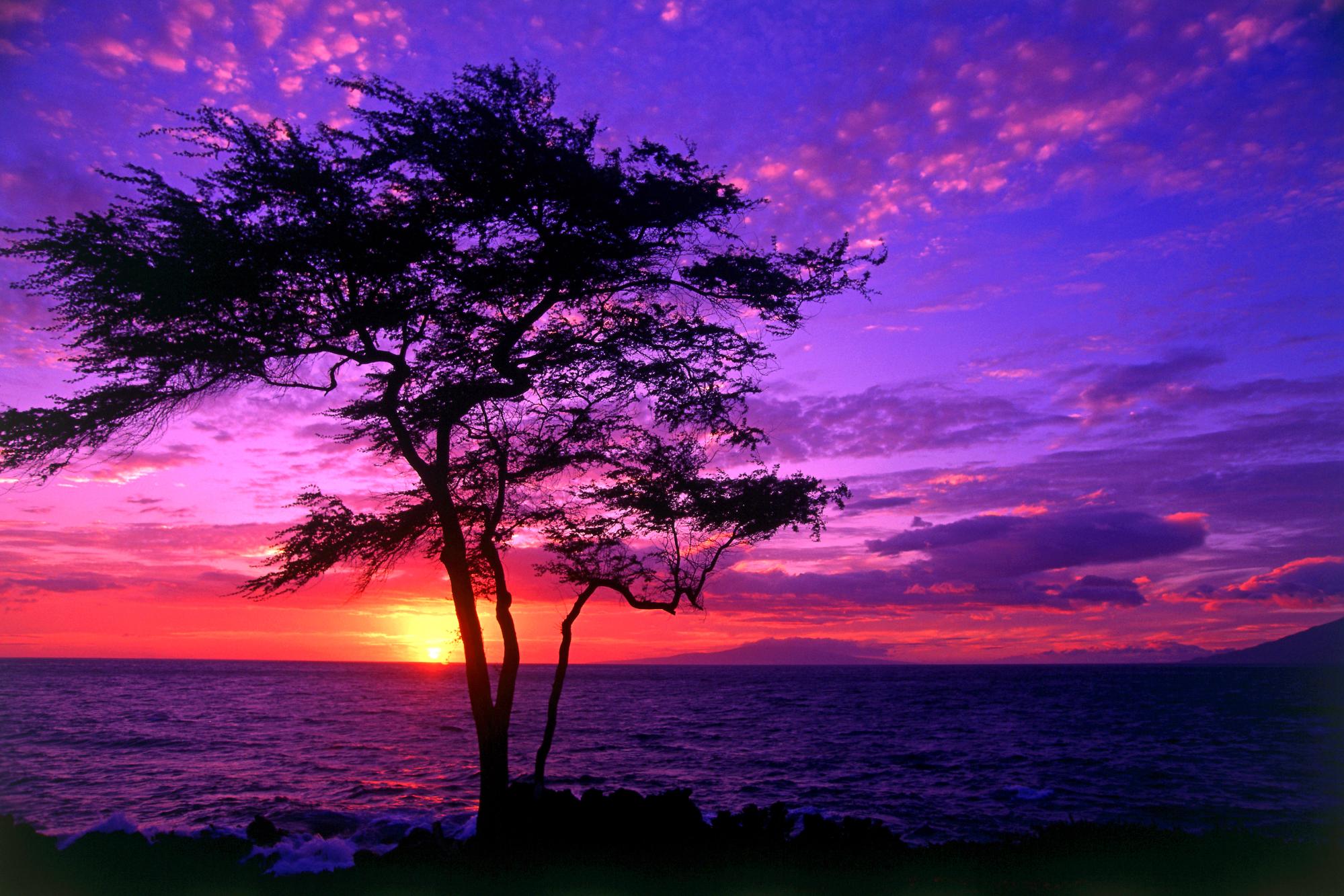 Sunset - 57