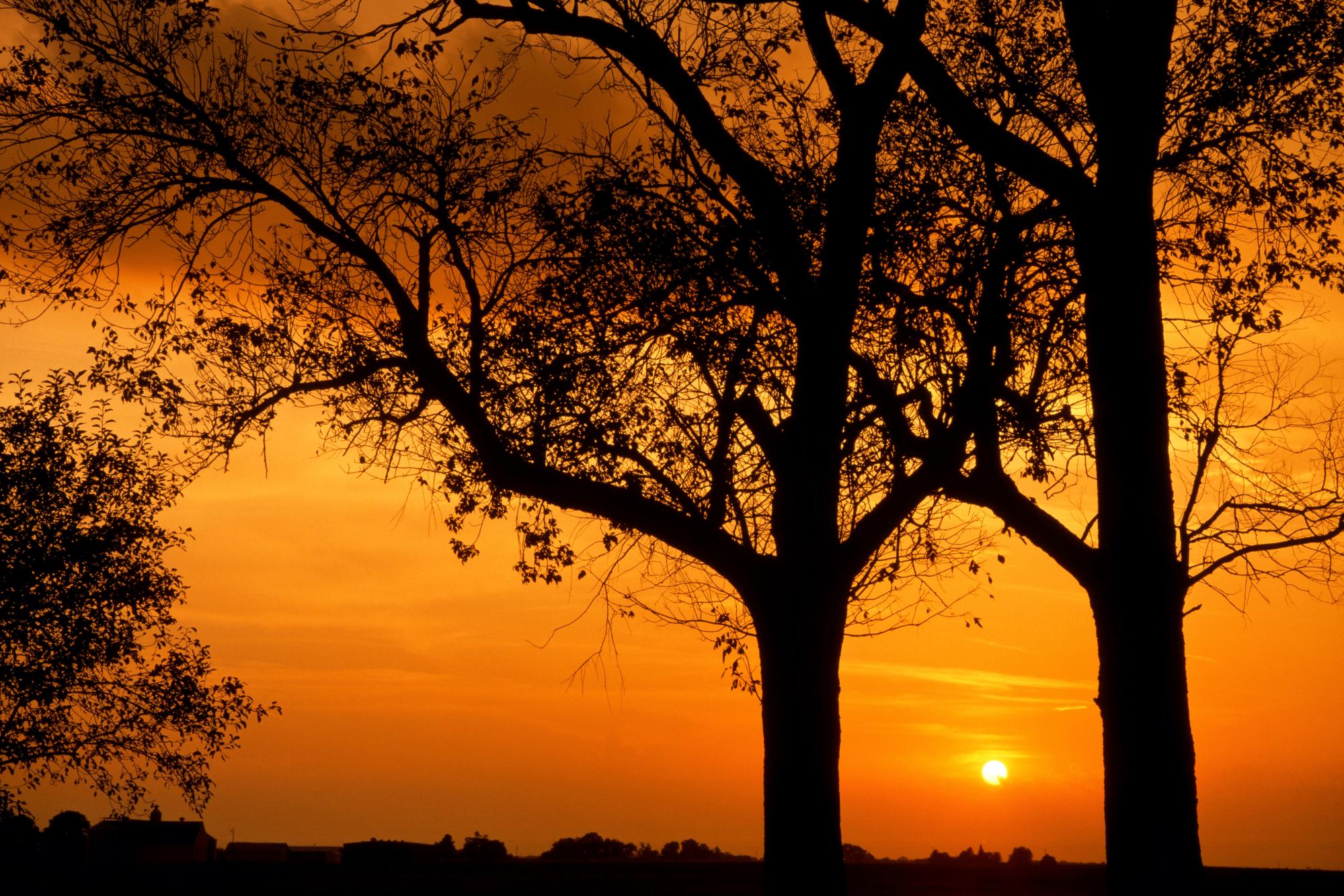 Sunset - 61