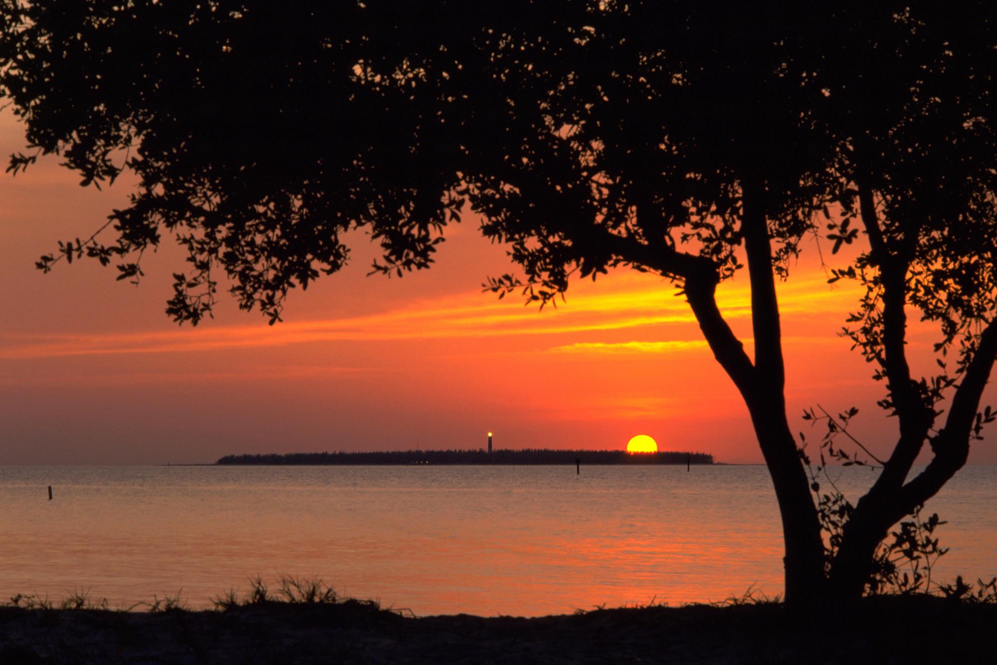 Sunset - 65