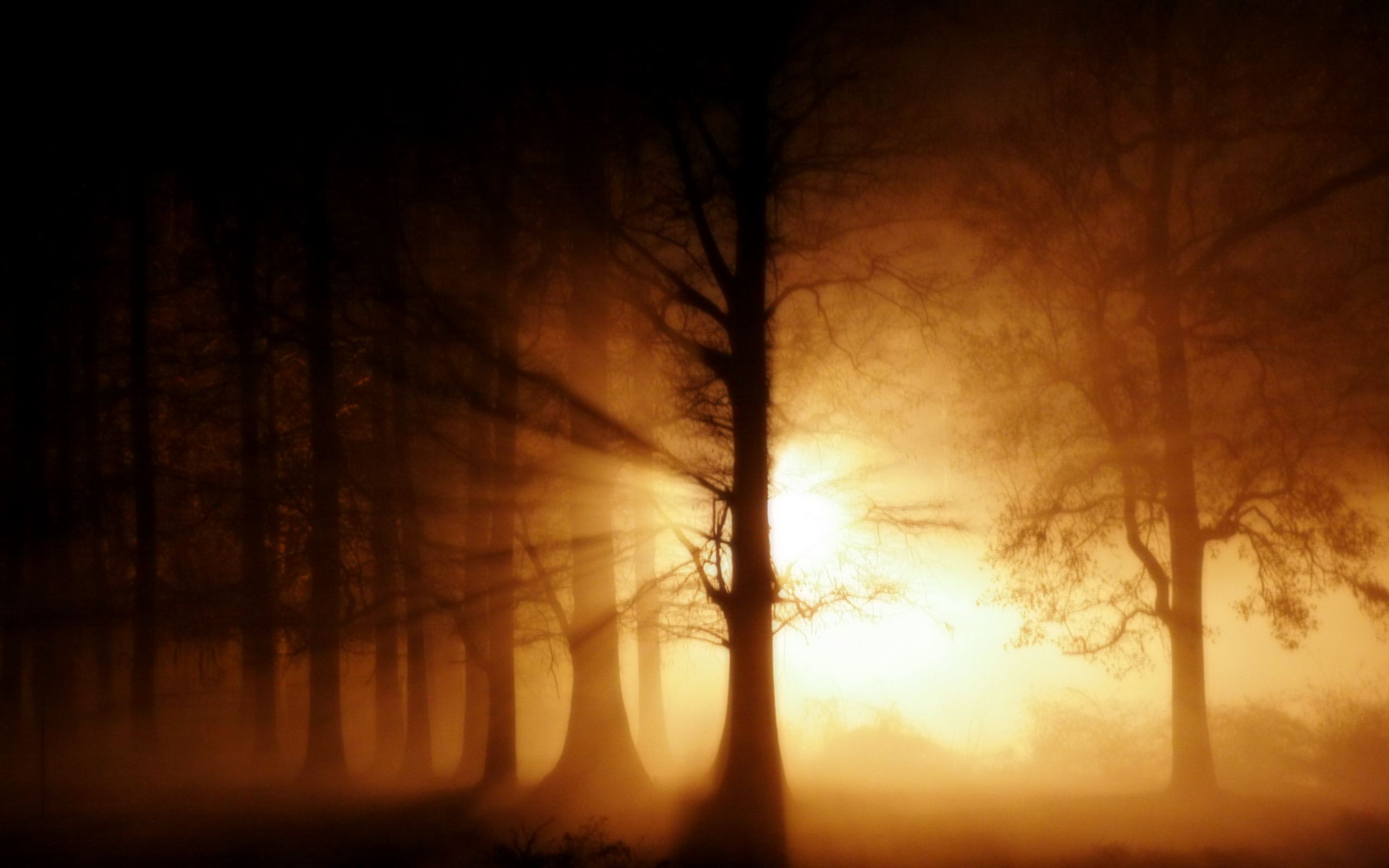 ghost_fog