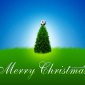 Christmas (30)