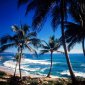 Coast of Paraiso, Dominican Republic