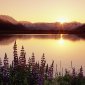 Sunset - 29